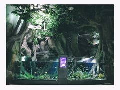 -福州罗源湾海洋世界旅游区