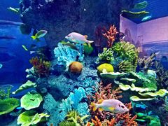 -福州罗源湾海洋世界旅游区