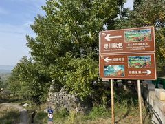 -塔川景区