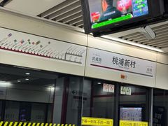 -桃浦新村(地铁站)