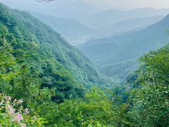 -王顺山国家森林公园