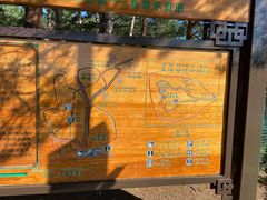 -帽儿山国家森林公园