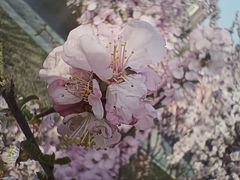 -仙女湖公园