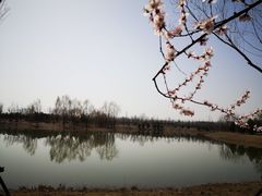 -东郊湿地公园