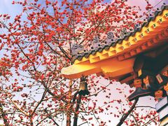 -广州中山纪念堂