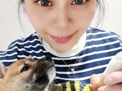 -逗柴咖啡屋·狗咖猫咖宠物桌游