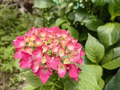 -秦岭终南山世界地质公园翠华山景区