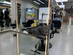 点击看大图 -UU·Hair漂发·画染·染发