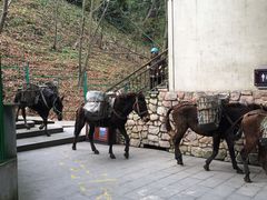 -藏龙百瀑风景区