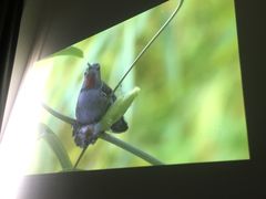 -UCCA Kids 儿童美育