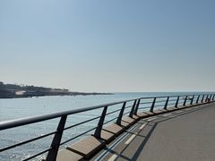 -小麦岛公园