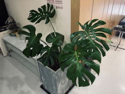 -臻悦医疗美容整形门诊部