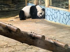 -西霞口神雕山野生动物世界