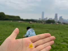 -苏州湾体育公园