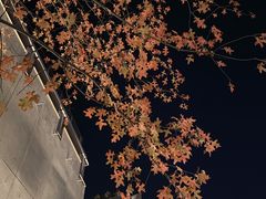 -山葵家居酒屋(天目里店)