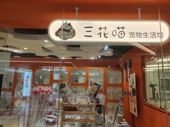 -三花喵·撸猫购宠·宠物生活馆(虹桥南丰城店)