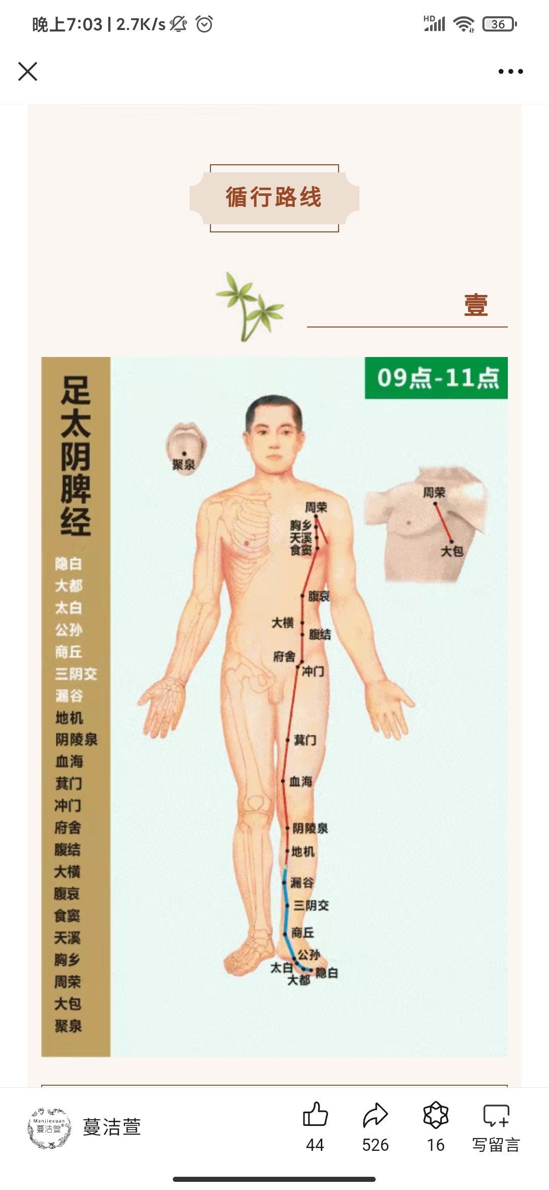 十二经络之足太阴脾经