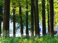 -中南财经政法大学(首义校区)