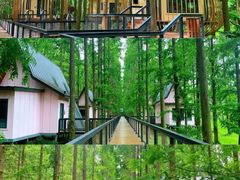 -黄海国家森林公园