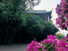 -月湖风景区