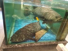 -聚福宝合苑食府(南头镇店)