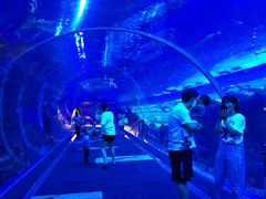 -成都浩海立方海洋公园