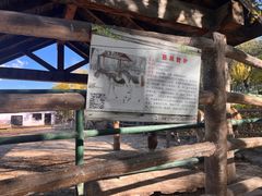 -青藏高原野生动物园