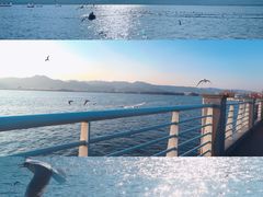 -海埂大坝