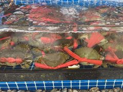 -红月湾海鲜饭店•沙滩海景(双月湾店)