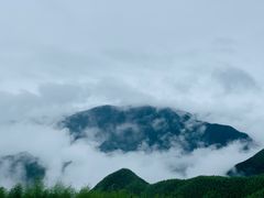 -江南天池