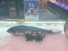 -海韵之星邮轮水会(明发商业广场店)