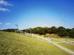 -佛手湖郊野公园