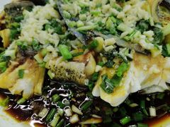 -全乐鱼馆·淳牌有机鱼直营店