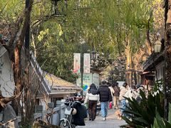 -竹子咖啡bamboo coffee