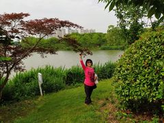 -昆山城市生态森林公园