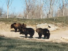 -北京野生动物园