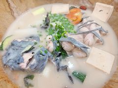 鮰鱼-云中鱼蒸汽石锅鱼(川沙百联店)