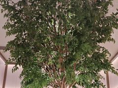 -榕意·川味之美(深业上城店)