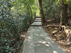 -上海佘山国家森林公园西佘山园