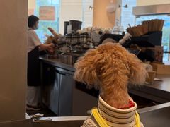 -Peet's 皮爷咖啡(海雅缤纷城店)
