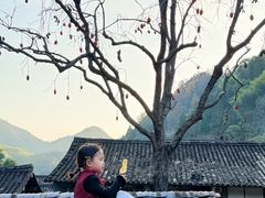 -林坑古村落