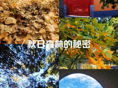 -本溪老边沟风景区