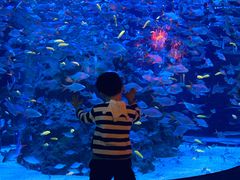 -成都浩海立方海洋公园