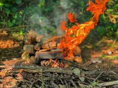 -广州市流溪河国家森林公园