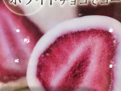 -中部国际机场