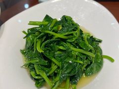 豌豆尖-一品滇香·云南菜(公益西桥店)