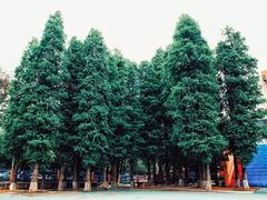 -广东外语外贸大学(白云山校区)