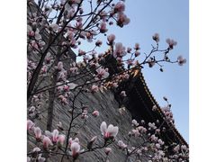 -故宫博物院(故宫)
