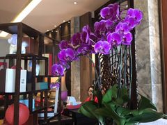 大堂-夏宫中餐厅(静安香格里拉店)