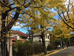 -轻井泽王子购物广场
